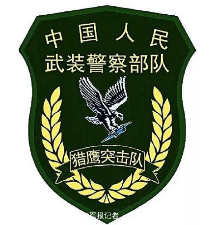 武警部队更换新式标志服饰 风格与陆海空三军一致